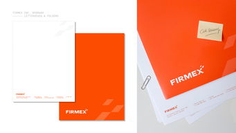 IT科技品牌创意设计 Firmex虚拟数据库空间公司logo设计VI设计企业形象设计
